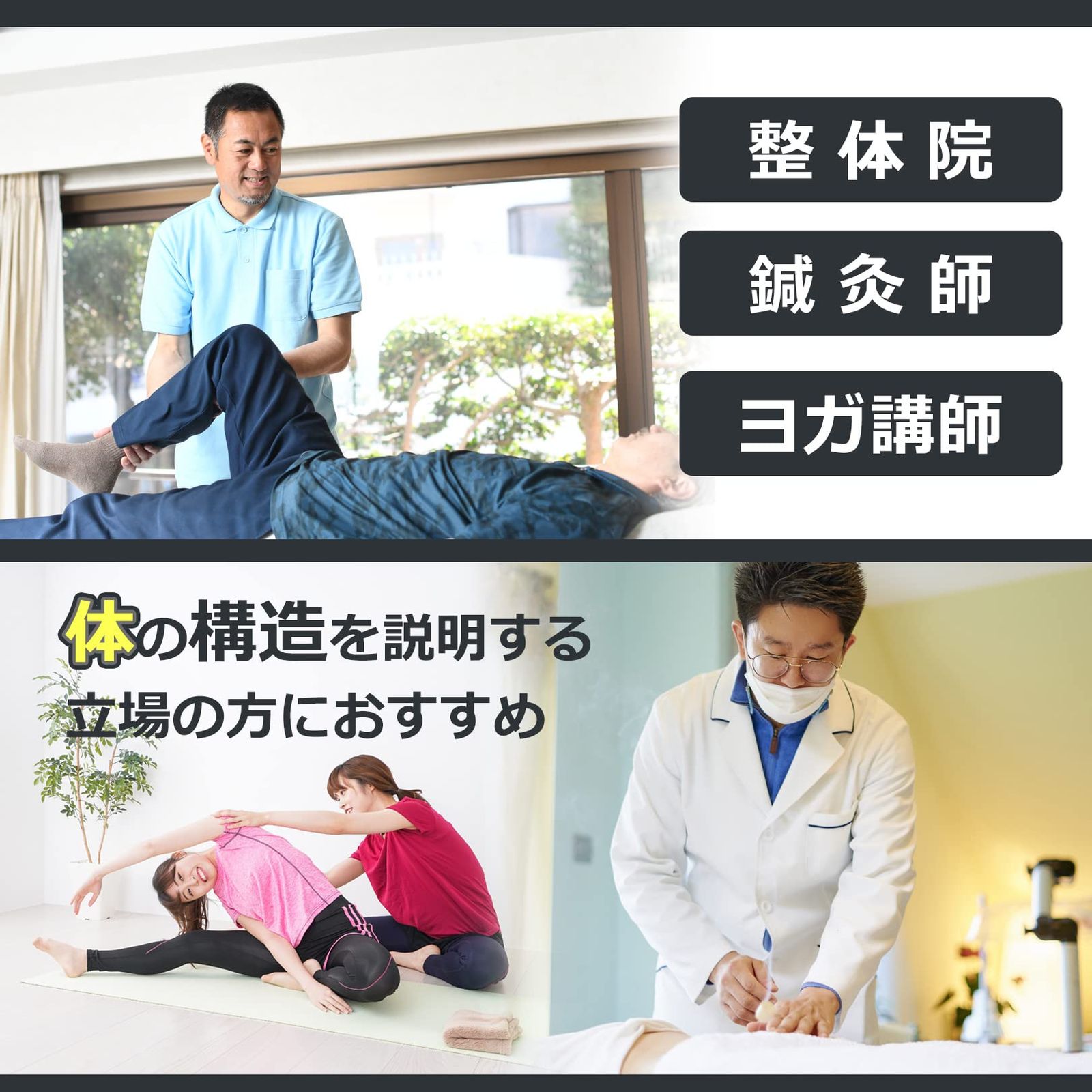 関節可動 骸骨