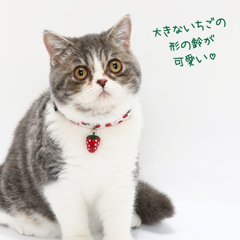 猫首輪 【 いちご 】 セーフティーバックル ネコ イチゴ 苺 首輪