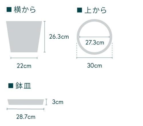 ベージュ Lサイズ