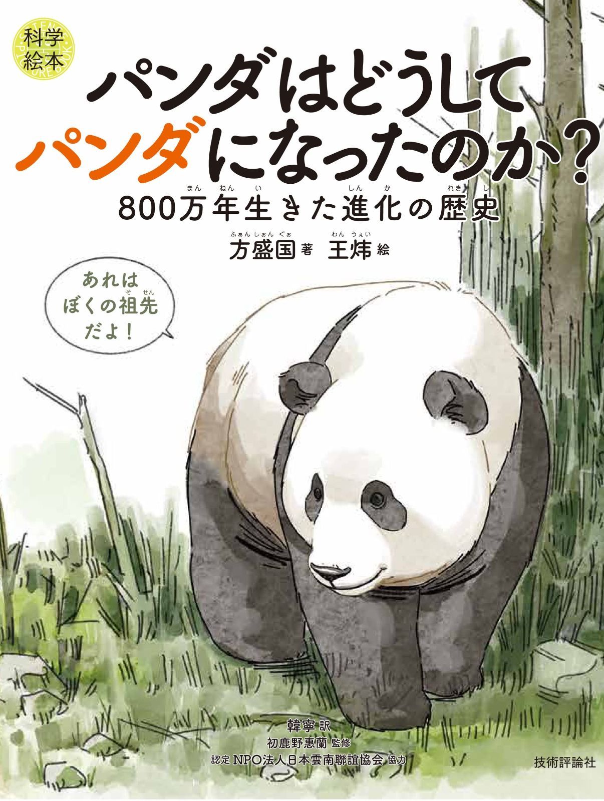 健康な歯肉とブラッシング(全3冊セット) 丸森賢二 【公式通販】