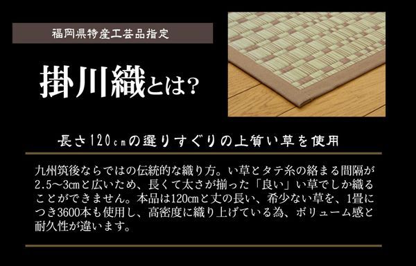 BIK1014722 日本製 国産 純国産 掛川織 い草カーペット 奥丹後