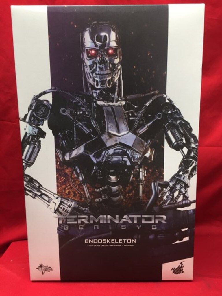 HOTTOYS MOVIE MASTERPIECE ENDOSKELETON MMS352 MMS352
