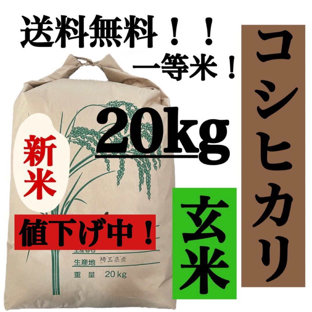 玄米 20kg コシヒカリ 新米 埼玉県産 令和4年産 送料無料 米 20キロ