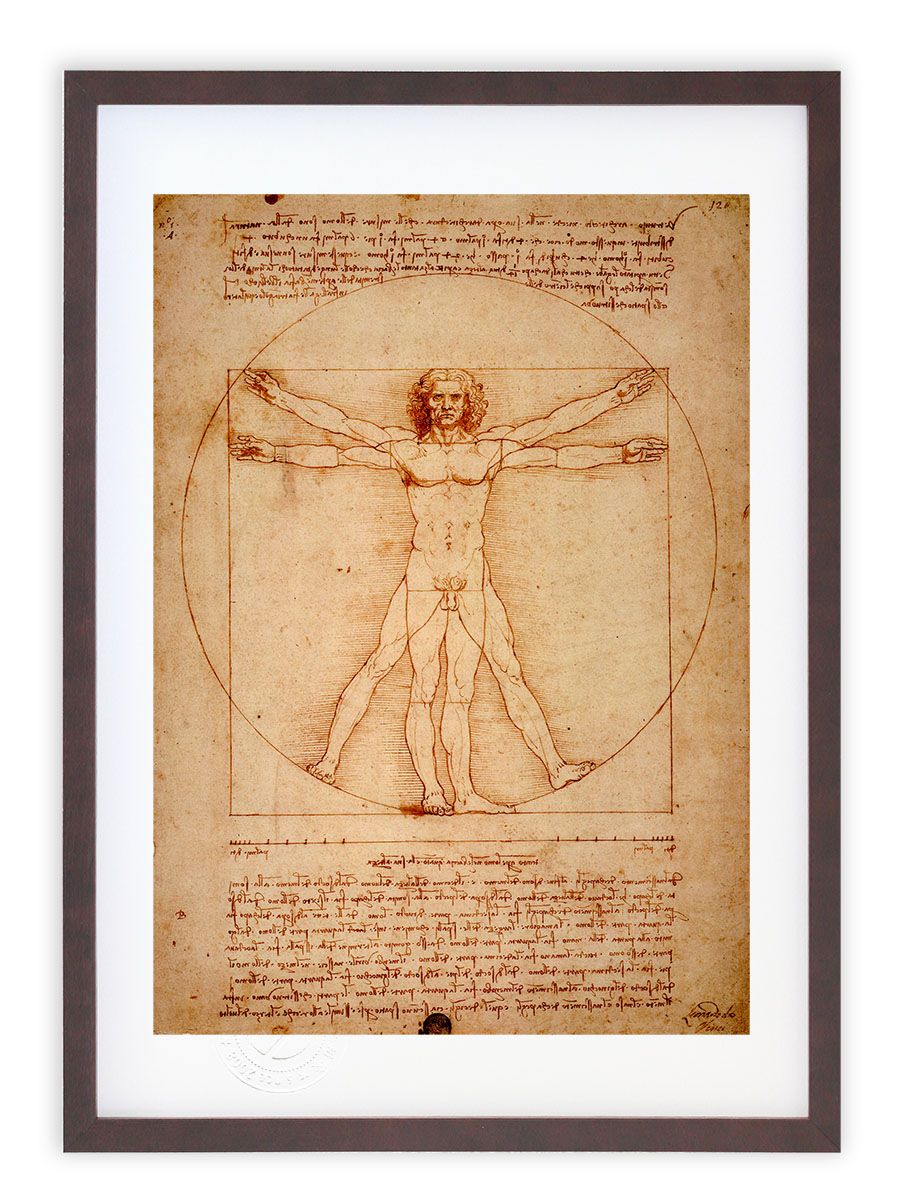 版画 絵画 名画 ウィトルウィウス的人体図(1490頃) レオナルド