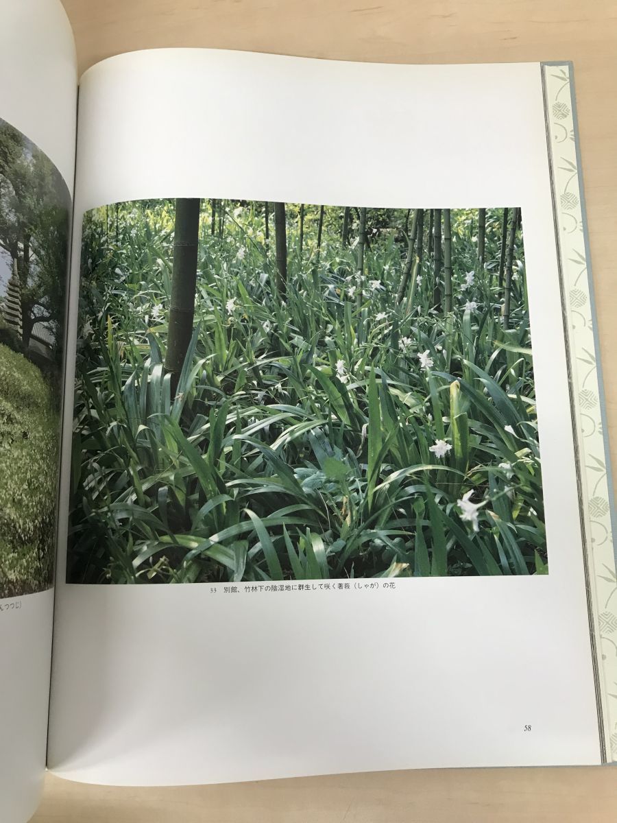 三養荘 全2冊揃 畑亮夫／写真 村野藤吾記念会 同朋舎 - メルカリ