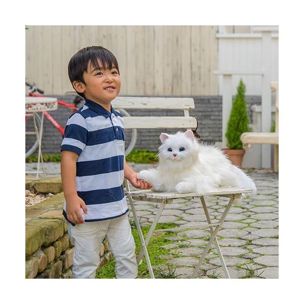 デジレクト しっぽふりふり あまえんぼうねこちゃん ホワイト 