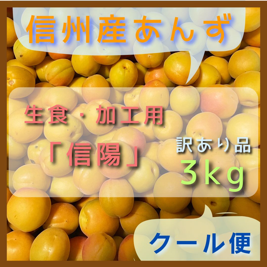 生食用 訳あり あんず 杏 3キロ - あんず、ネクタリン