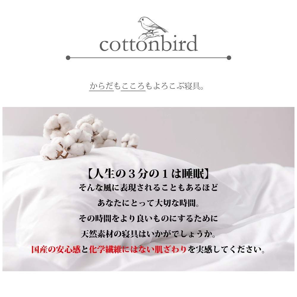 クレイグレー SB-504-N