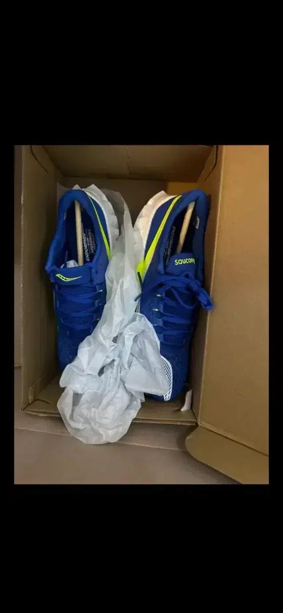 サッカニー エンドルフィンプロ4 250