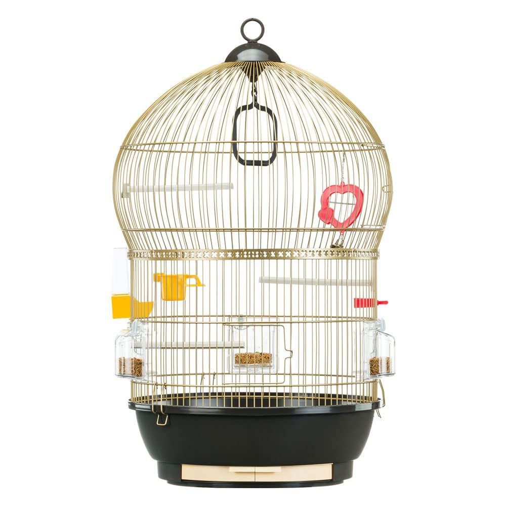 数量 Bali ゴールド G 鳥籠 バリ ゲージ フルセット ファープラスト アンティークブラス 小型鳥用