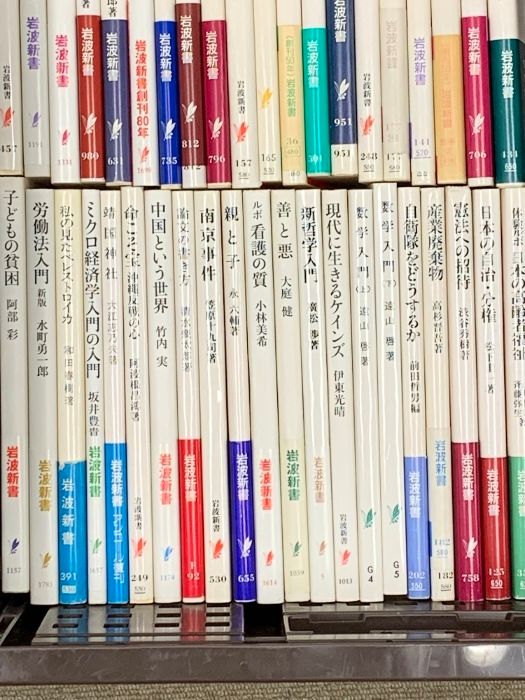 本 11 岩波新書 まとめて 100冊以上 セット 数学入門 心と脳 特捜