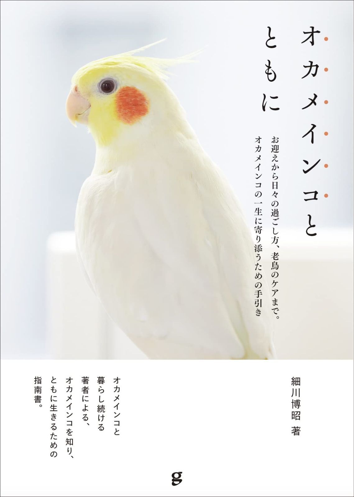 限定セール，SALE オカメインコとともに その他