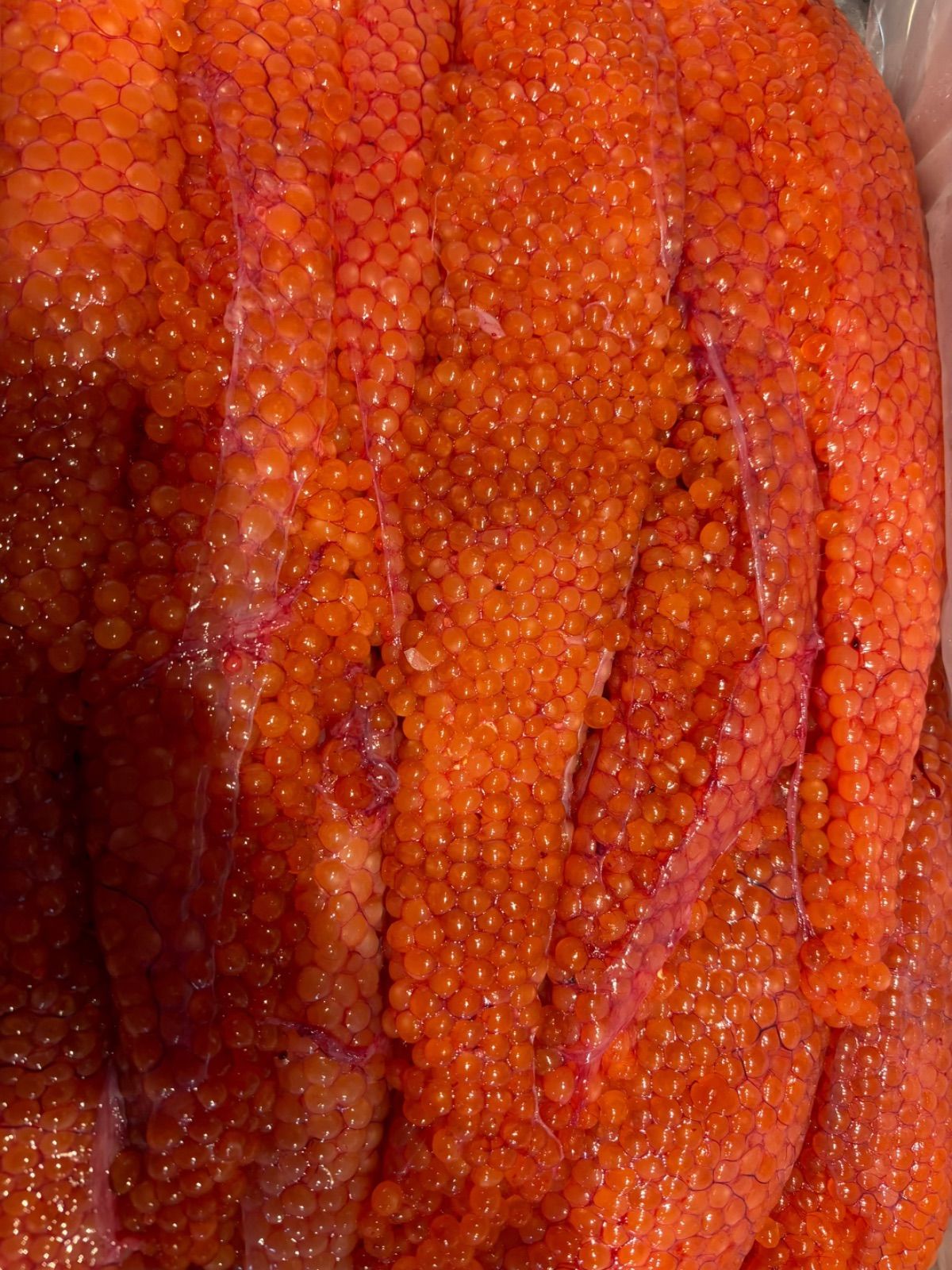 チャーンス 新物北海道産 秋鮭生筋子 1kg