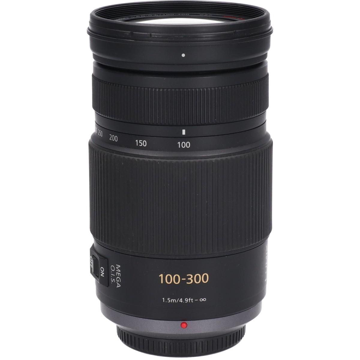 Ｇ１００－３００ｍｍ Ｆ４－５．６ＭＥＧ ＯＩＳ