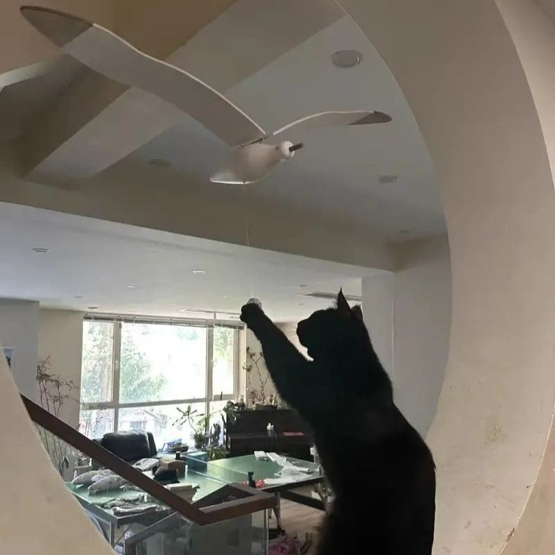 アンビエンス クリエイティブ