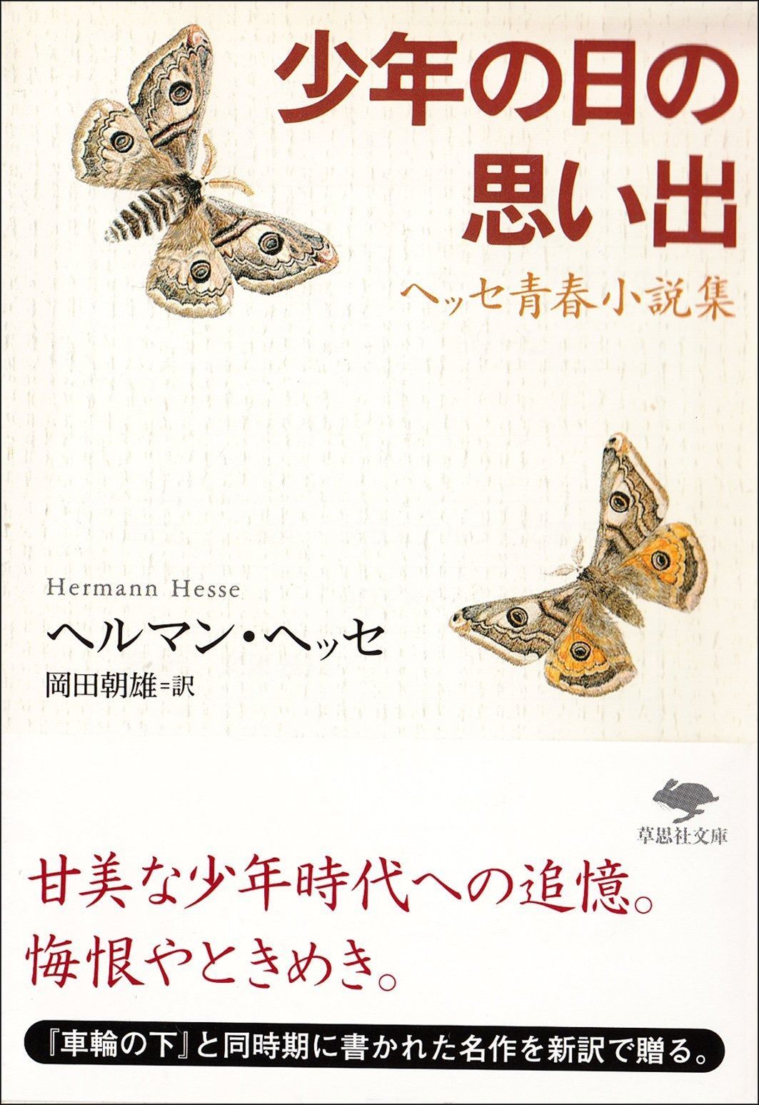 文庫 少年の日の思い出 (草思社文庫 ヘ 1-5)