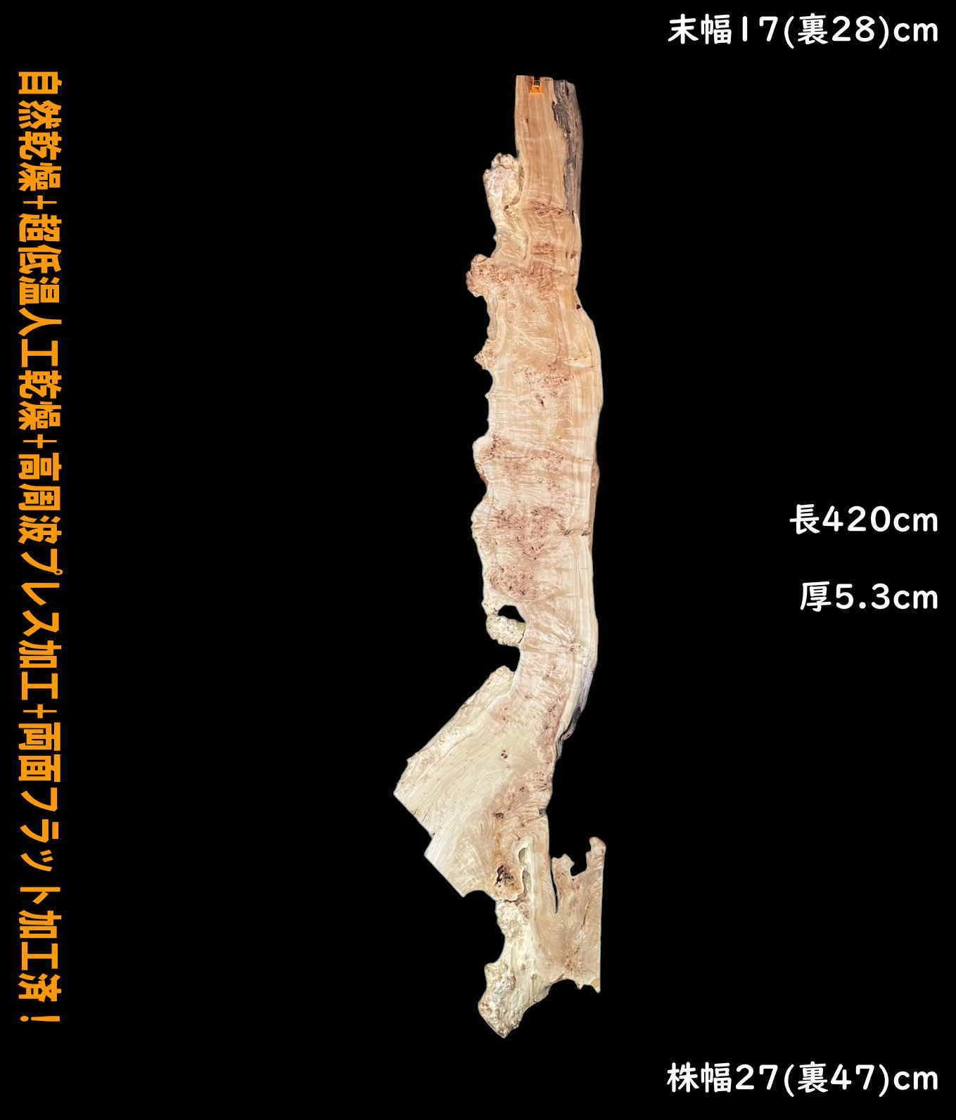 ポプラ M248-1 一枚板 乾燥材 棚板 カウンター テーブル DIY 耳付 天板 座卓 テレビボード