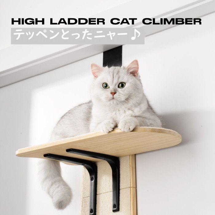 キャットタワー