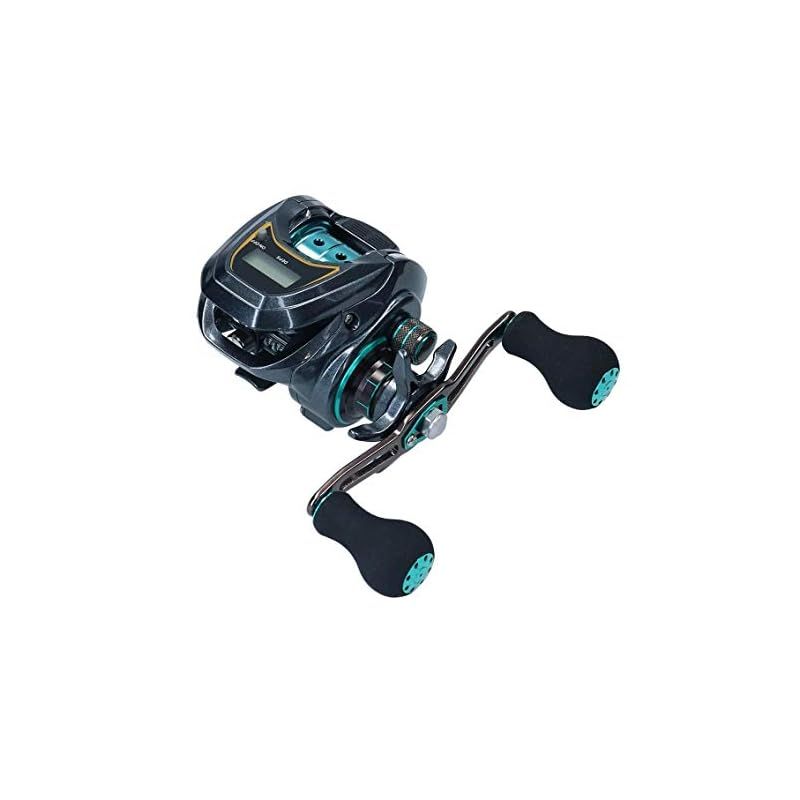ダイワ(DAIWA) LIGHT SW X IC SS L カウンター付ベイトリール ブラック