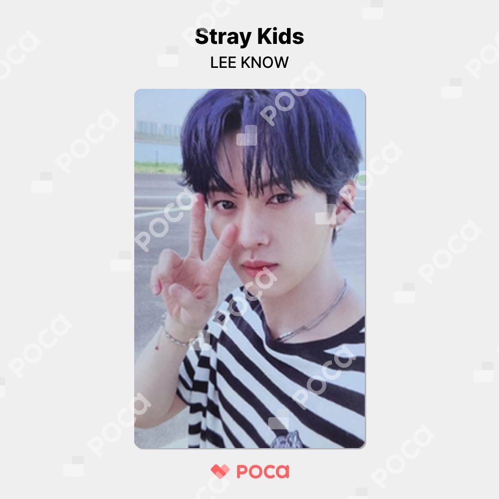 straykids リノ スキズ トレカ MAXIDENT アルバム 公式 トレカ