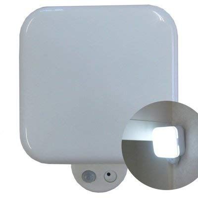 リーベックス REVEX センサーライトカメラ SDカード録画式 SD-500