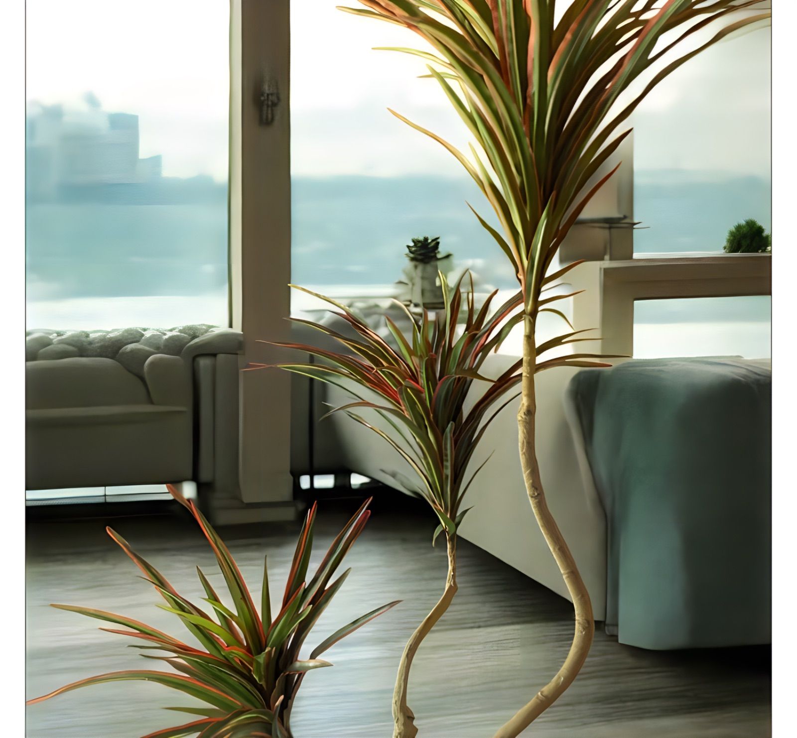 光触媒 人工観葉植物 ウォールグリーン フェイクグリーン コンシンネ