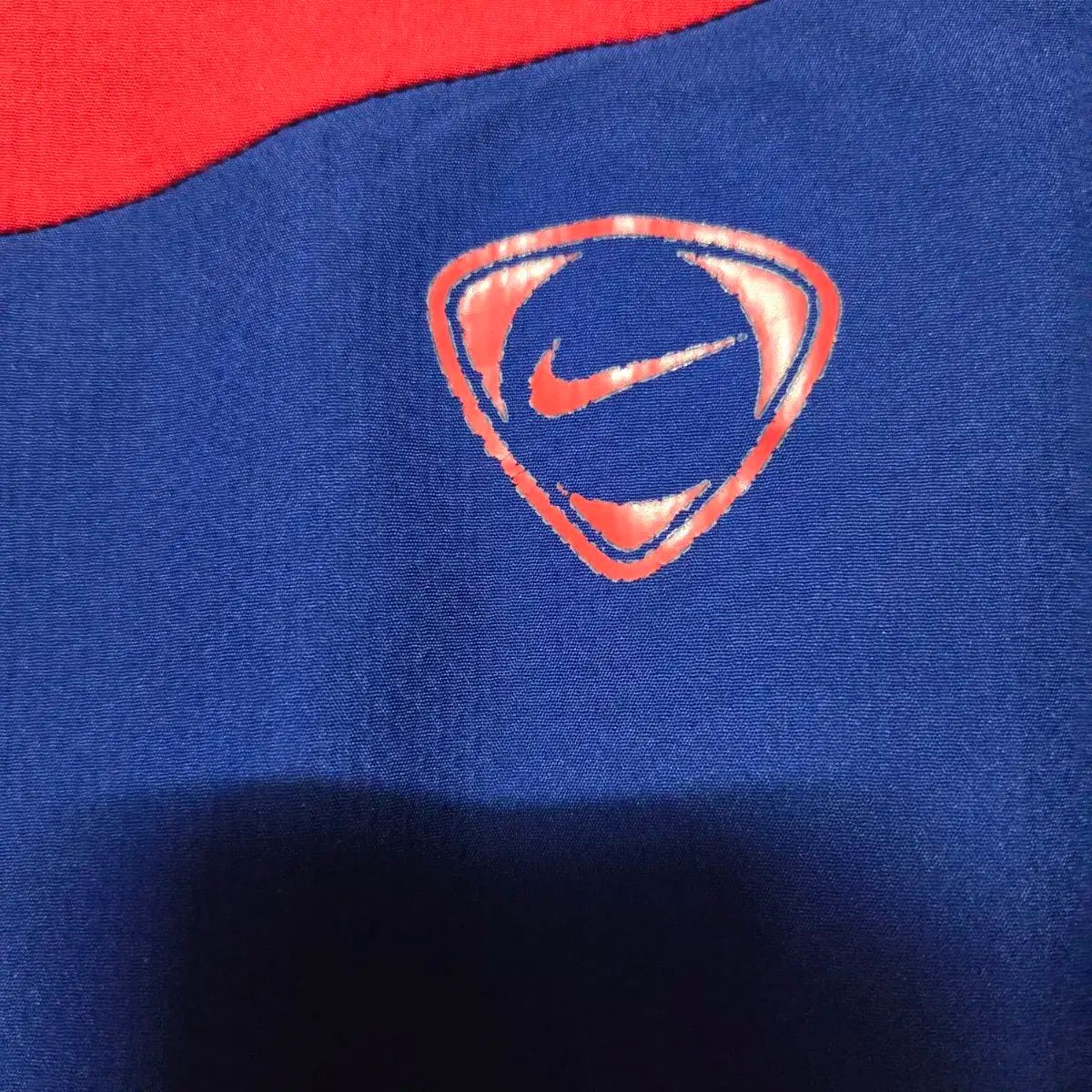 イヴ・ブライエ 風景画 リトグラフ 大作 直筆サイン入り 南フランス