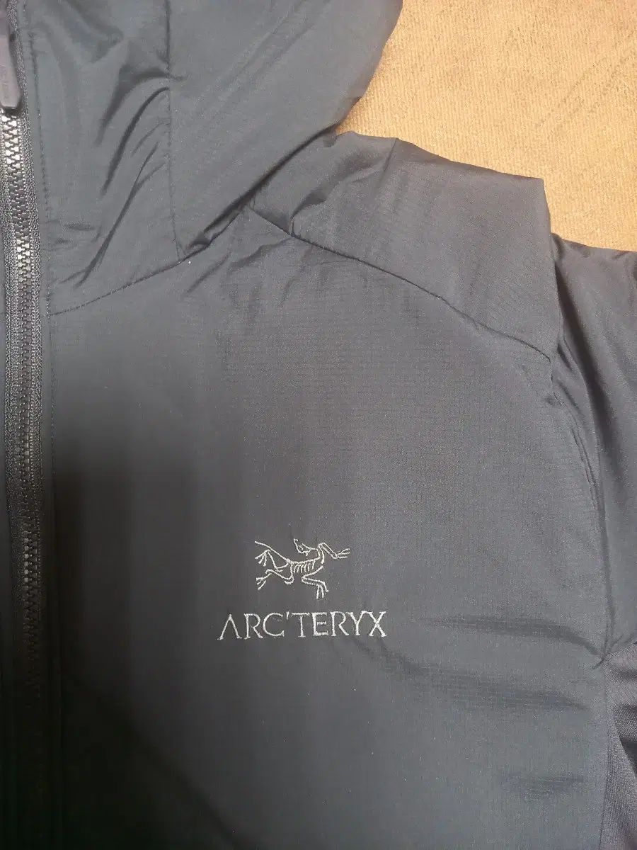 ARC TERYX アークテリクス Atom アトム lt フード ジャケット L