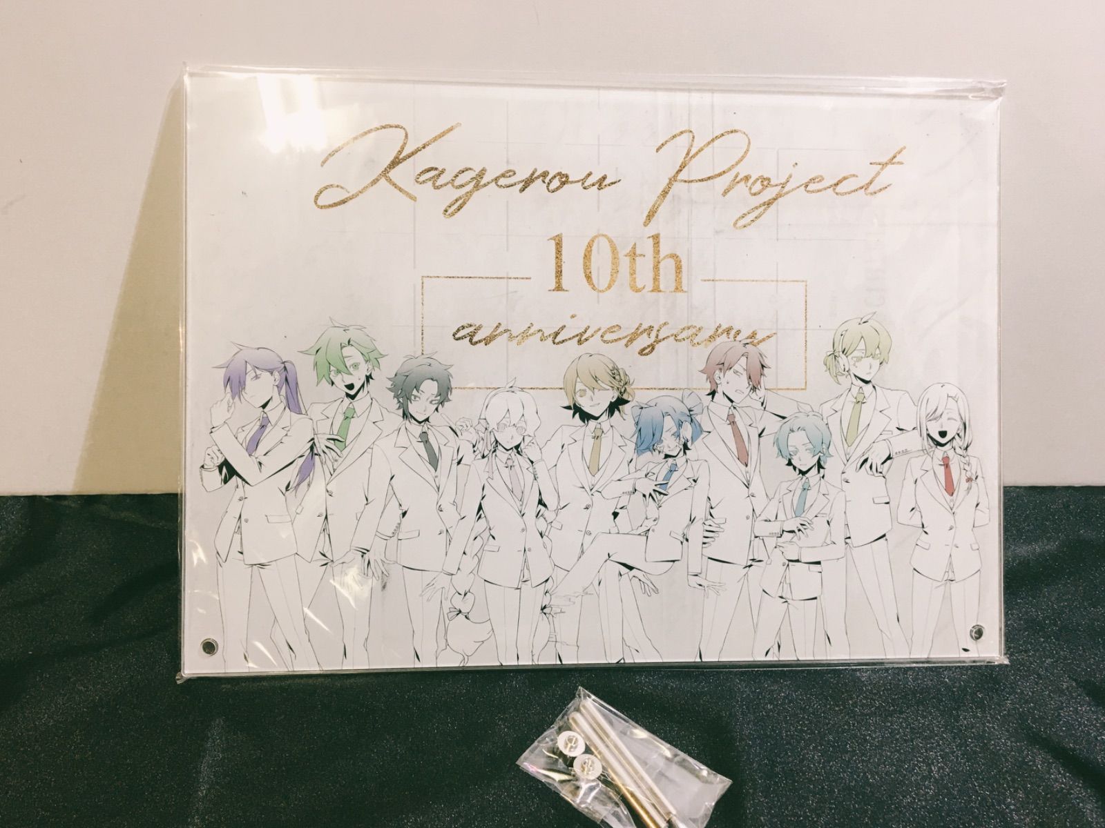 カゲロウプロジェクト アクリルプレート 未開封】カゲロウプロジェクト 10th A4アクリルプレート 白