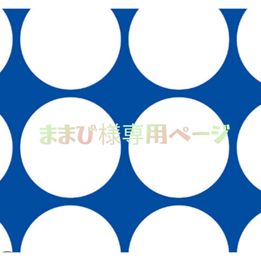 あおぴ様専用 - クラフト・布製品