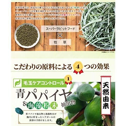 牧草市場 牧草市場 スーパーラビットフード メンテナンス 1.2kg うさぎ フード 生後7カ月以上 毛玉ケア コントロール STEELWINDOWSANDDOORS_COM