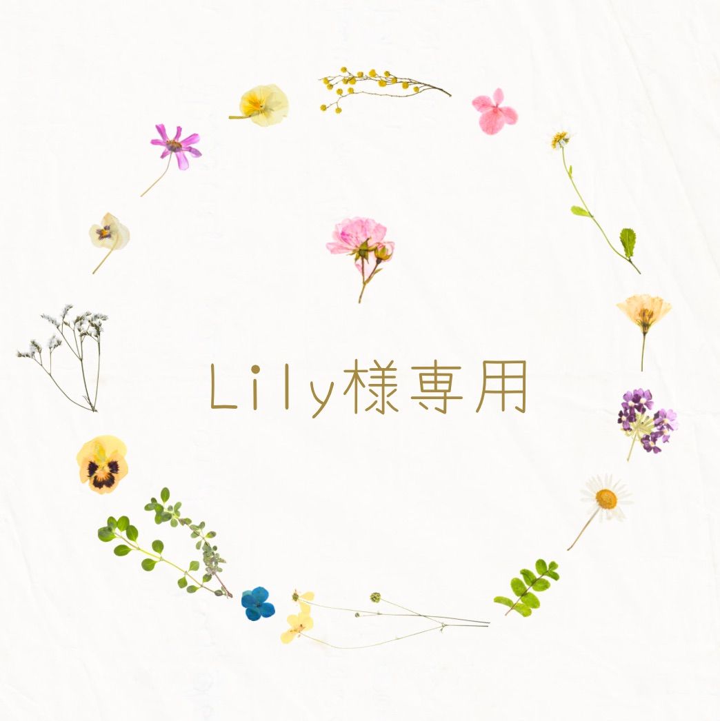 lily 令和5年 秋田県産【ひとめぼれ】玄米20kg Lily様専用 （lily様専用 令和5年 秋田県産【ひとめぼれ】玄米20kg）