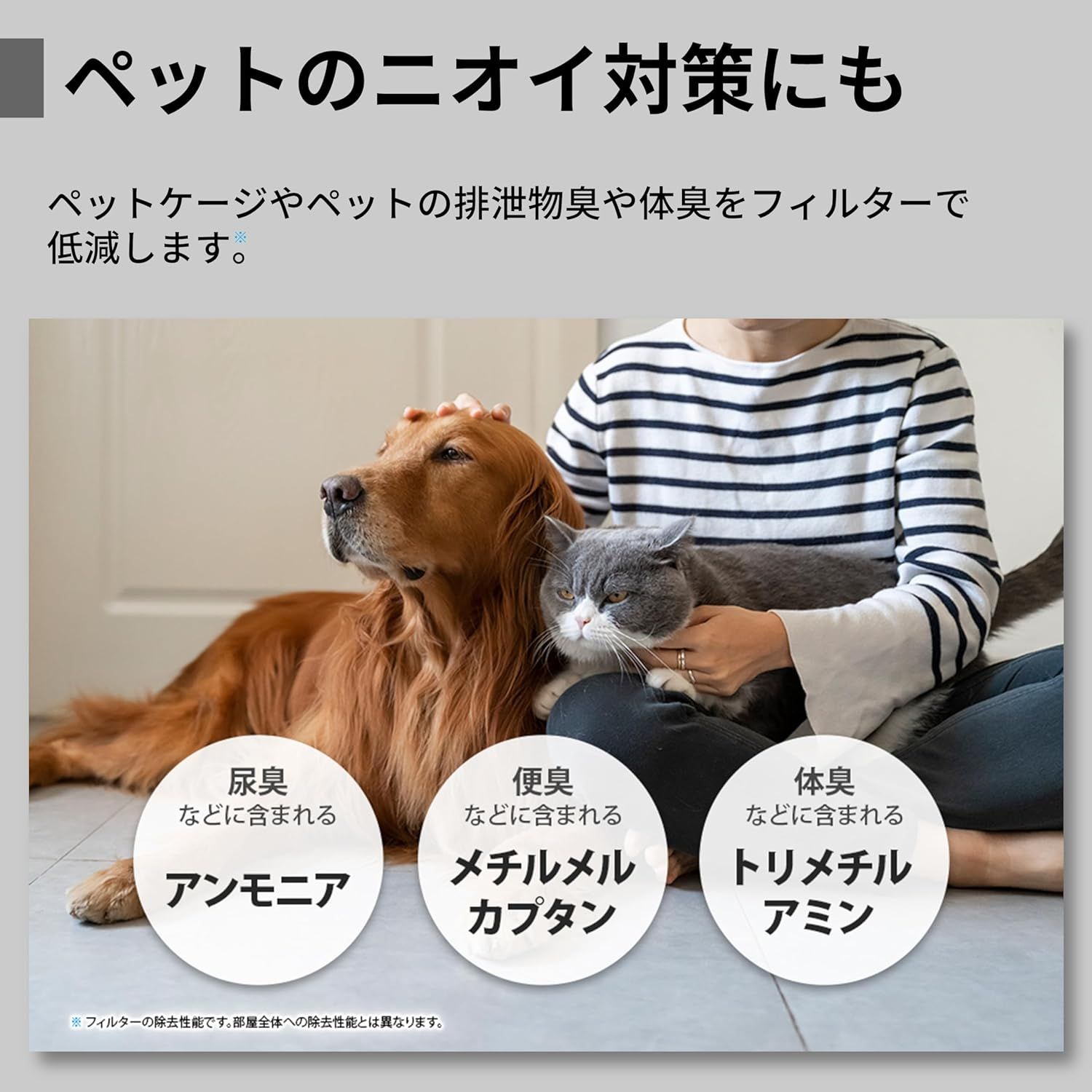 ナイトライト コンパクトタイプ