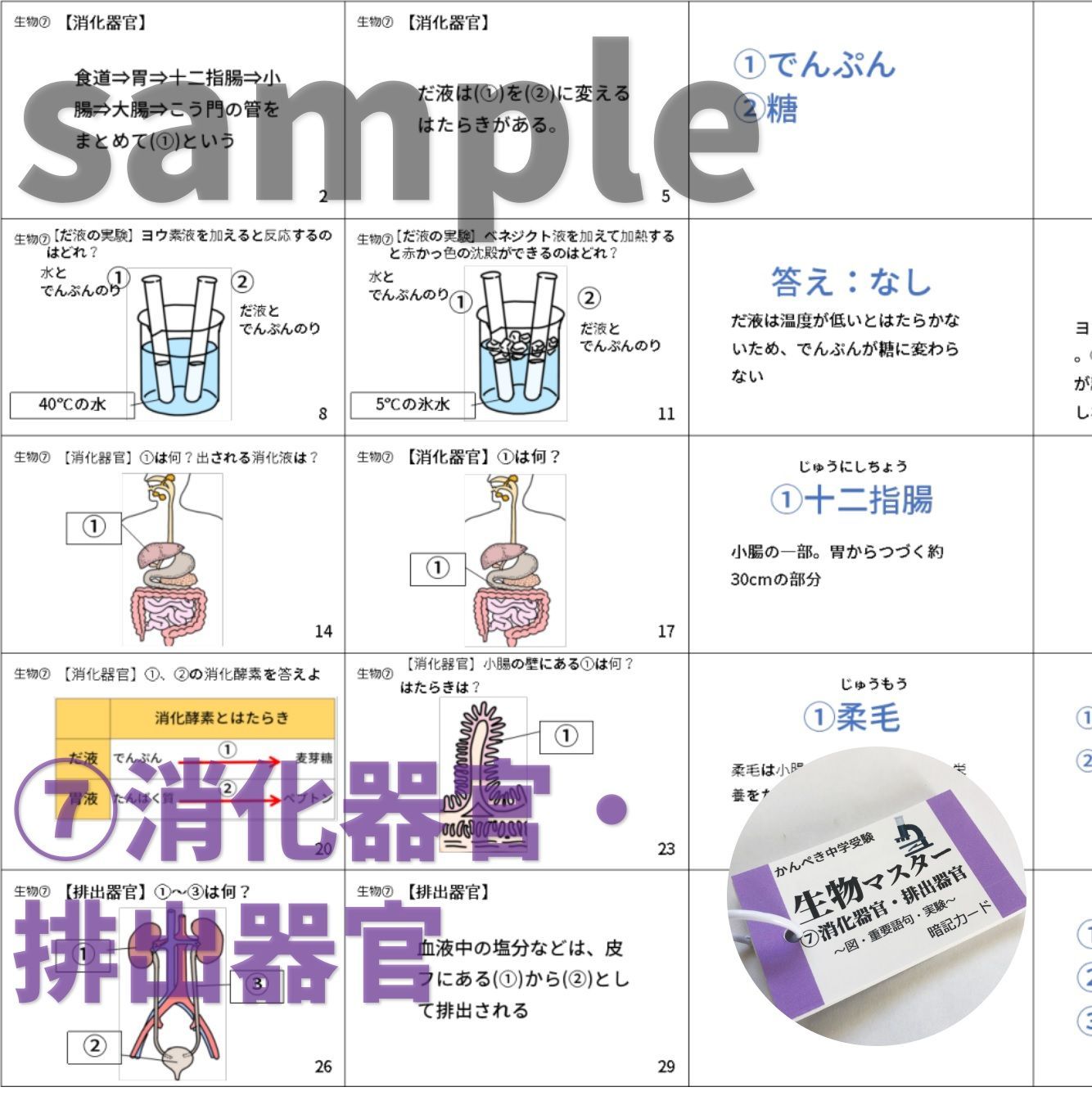 中学受験理科 生物マスター①～⑨ 暗記カード 一問一答 まとめ 中学