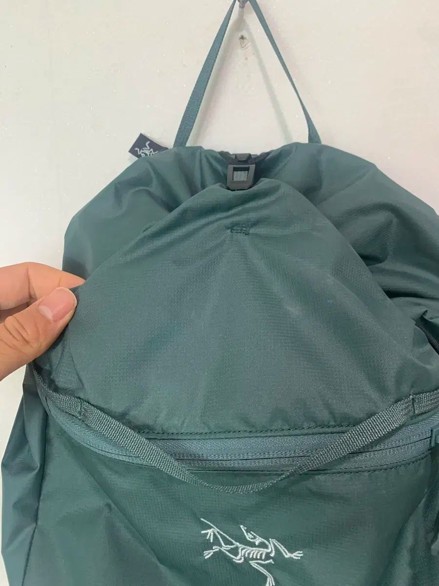 10L