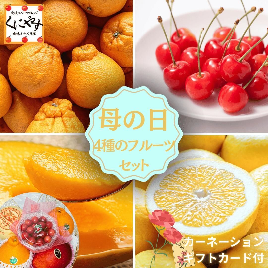 ご予約は5|1 23 59 まで 母の日 ギフト 国産 フルーツセット フルーツバスケット カゴ盛り 4種 カーネーション メッセージカード 付 フルーツバスケット マンゴー さくらんぼ デコポン 美生柑 河内晩柑