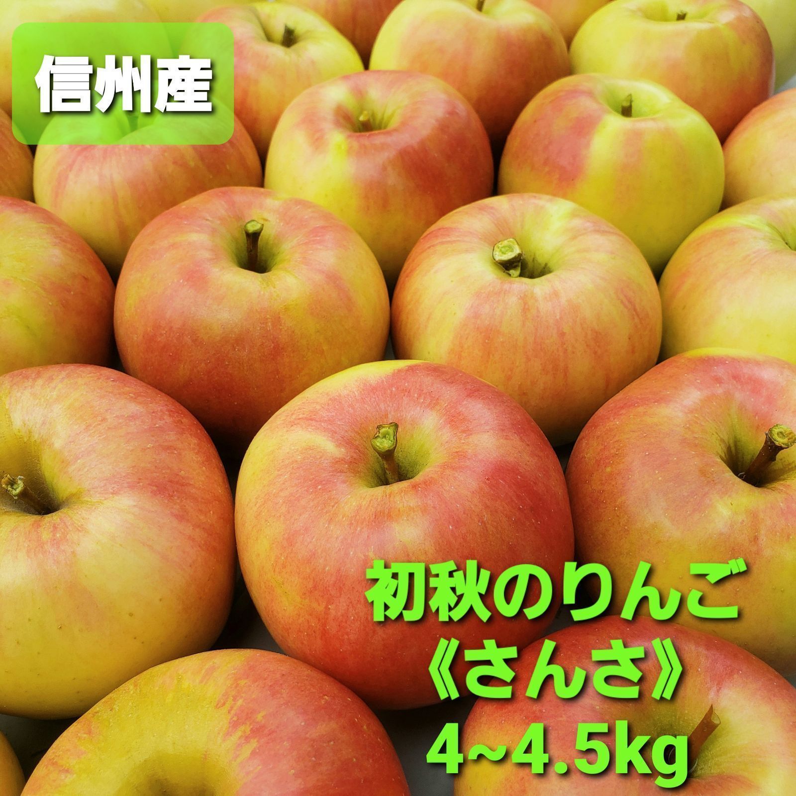 信州産］初秋のりんご《さんさ》4~4.5kg - メルカリ