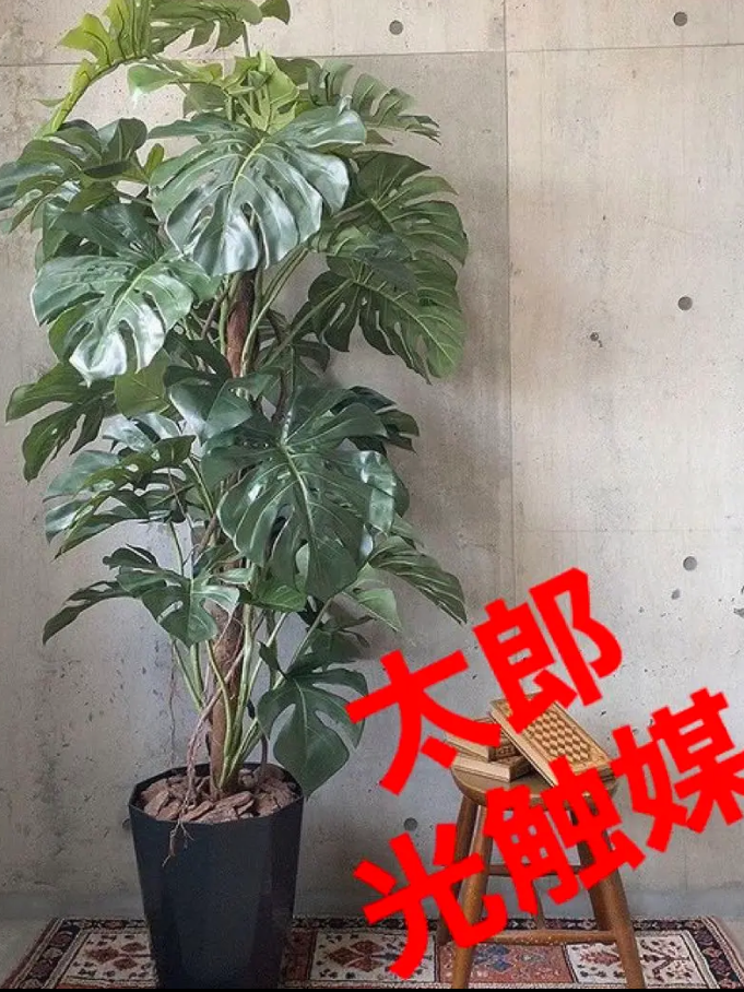 光触媒 人工観葉植物 ウォールグリーン アレンジ フェイク oモンステラ