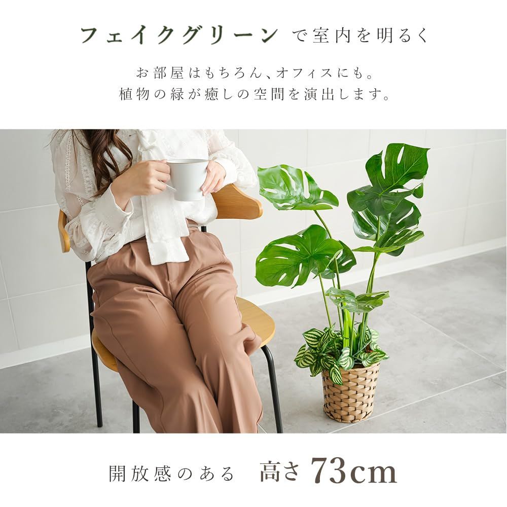 インテリア グリーン