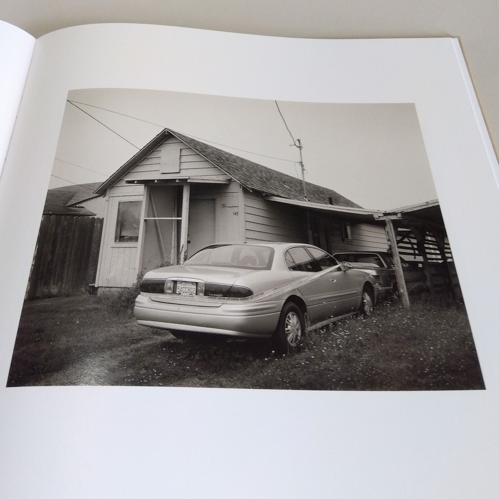 Richard Rothman: Redwood Saw Redwood Saw | with Portrait Photographers