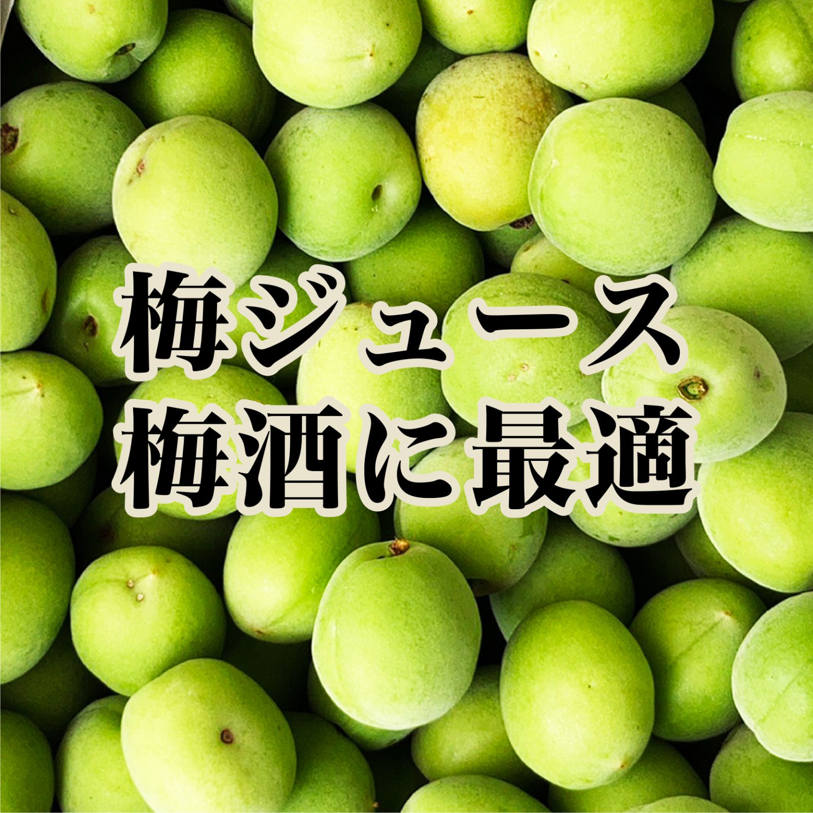 和歌山県産 古城梅 サイズ混合 【公式通販】