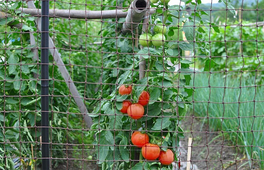 侵入防止ネット