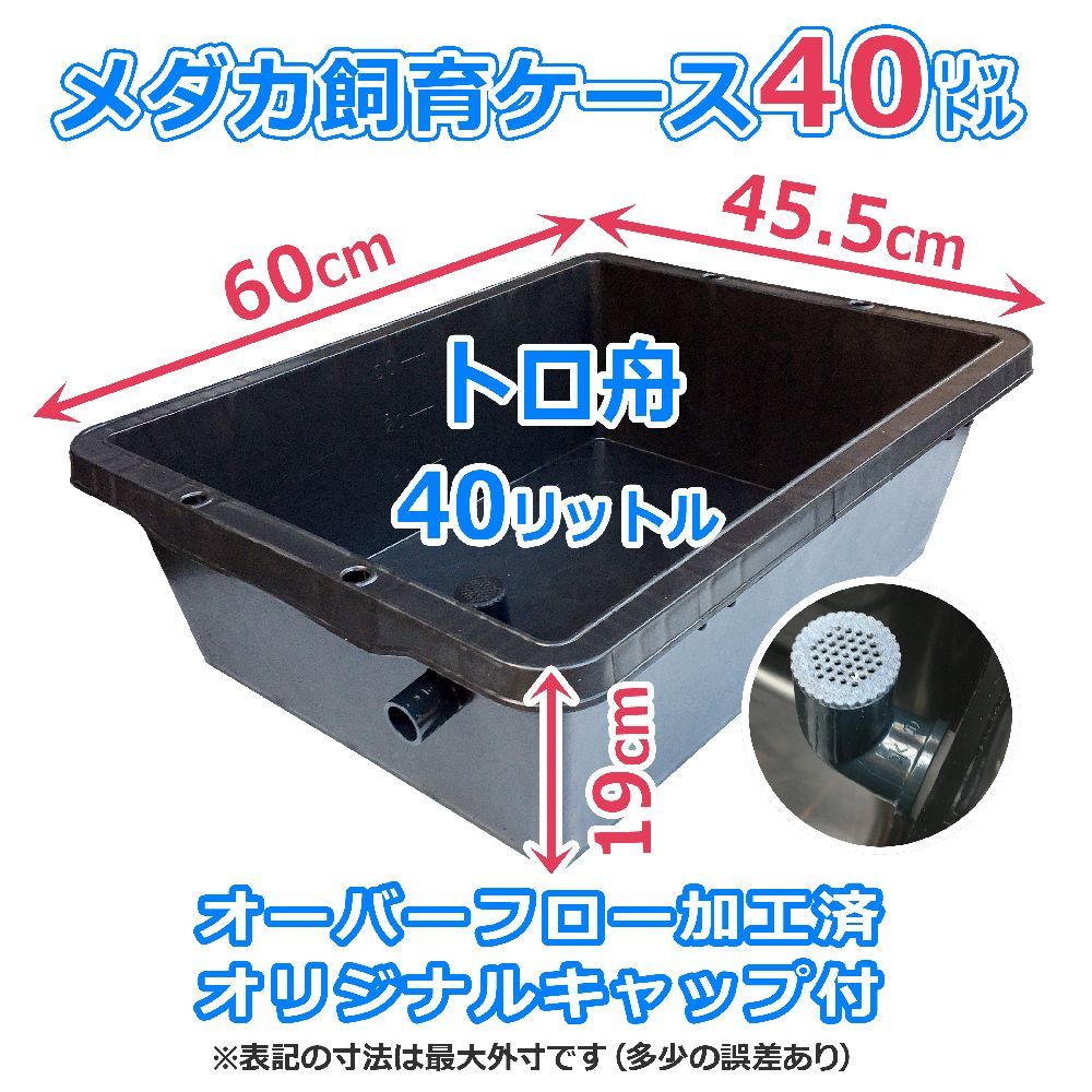 大雨でも安心なメダカ飼育ケース 40㍑黒x2個 オーバーフローキャップ付 メダカ飼育容器 トロ舟 金魚飼育容器 ビオトープ メダカ水槽 プラ舟  五色アクア - メルカリ