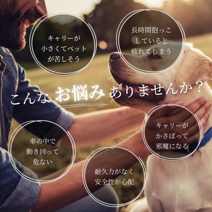 ペットキャリー リュック 犬 猫 ペットバッグ 折り畳み 2way ケース 車 旅行 飛行機 メッシュ 通気性 軽量 大型 小型