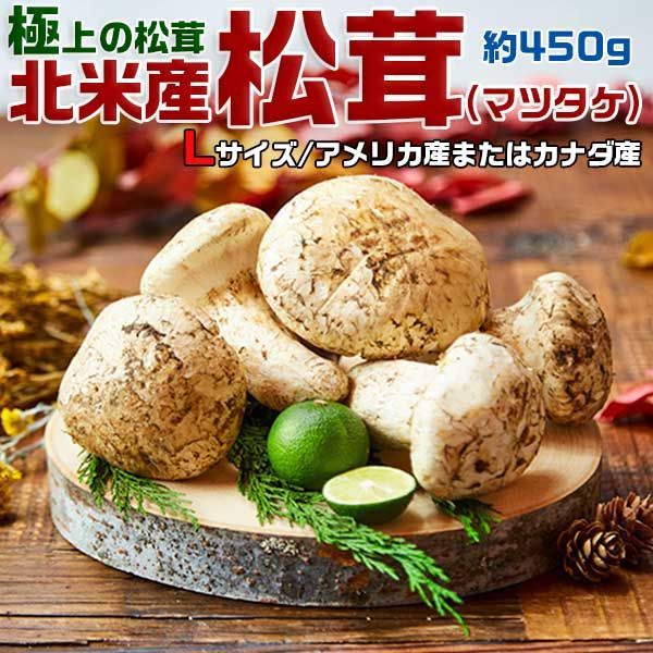 国産松茸開き900g専用 松茸 マツタケ 極上の松茸 約450g 北米産