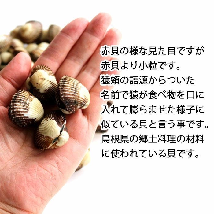 約5kg 愛知もしくは韓国
