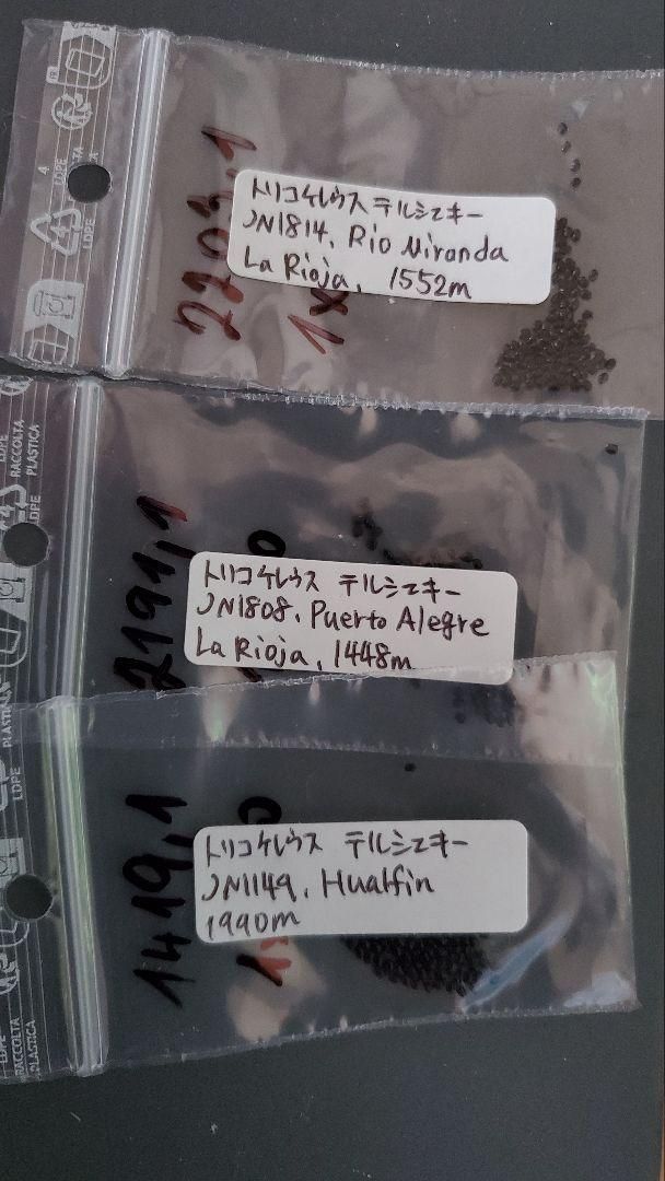 トリコケレウス