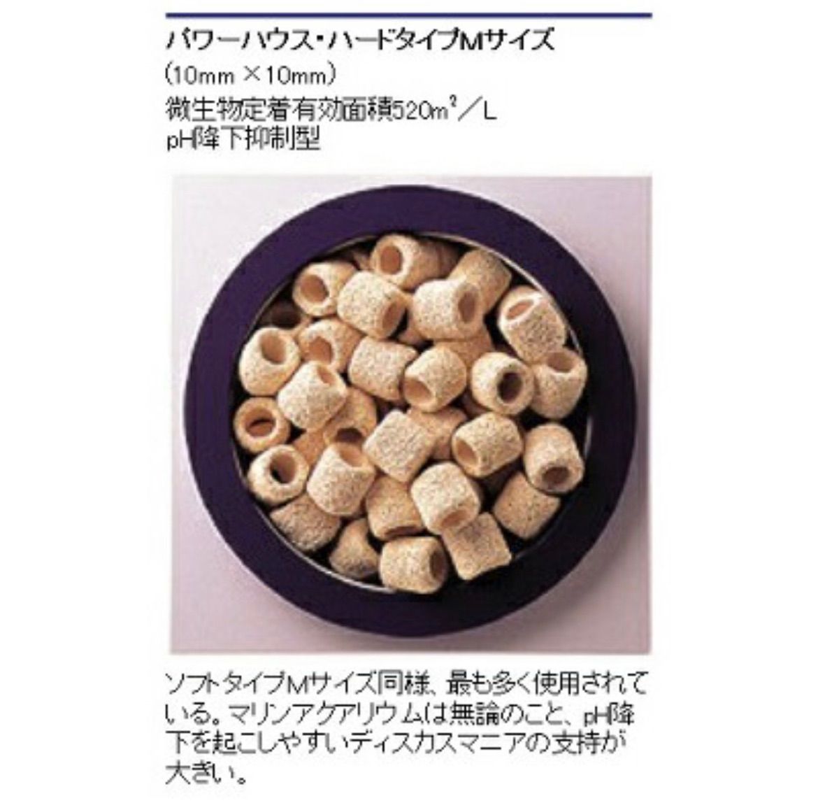 パワーハウス ハードタイプ