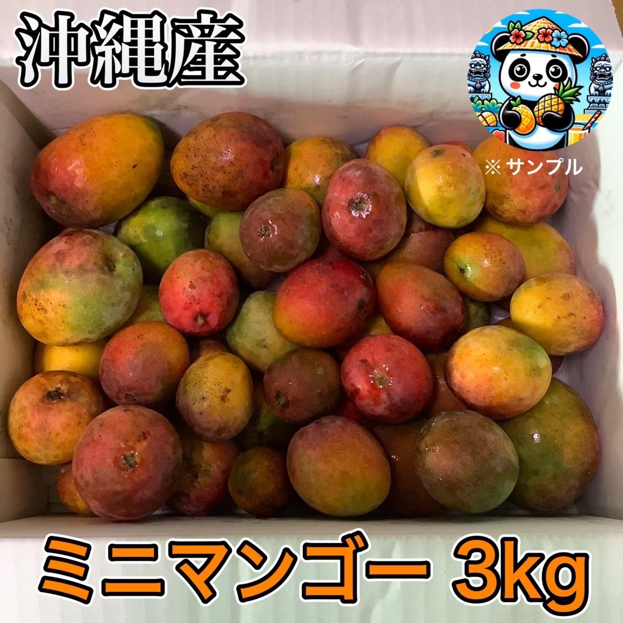 《沖縄産》ミニマンゴー 3kg