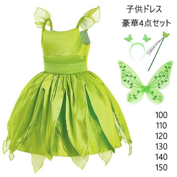 冨樫義博 レベルE アニメ DVD 収納ケース